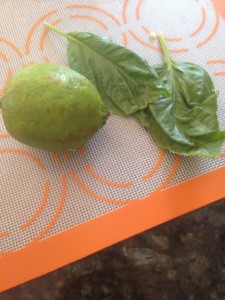 Cut lemon or lime in 1/2 and squeeze over chopped apples. Then chop basil leaves into tiny pieces and mix all ingredients.